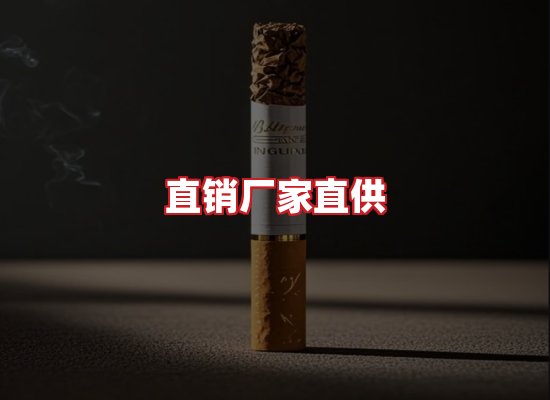专业团队